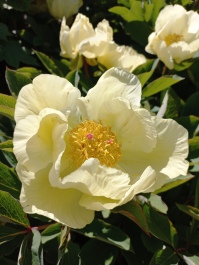 photo 2152798