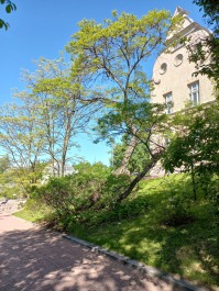 photo 2152799