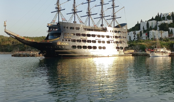 20250423_071546.jpg