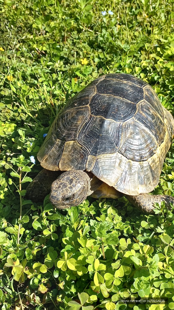 photo 2153153