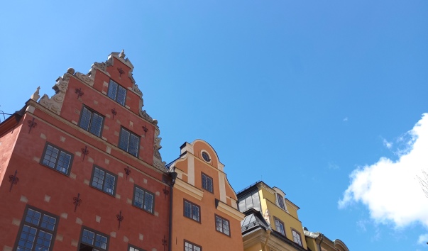 20220621_133156.jpg
