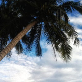 photo 790895