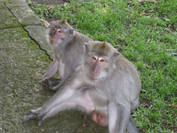 photo 790367