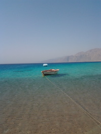 photo 1107590