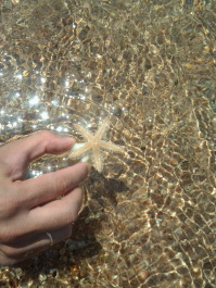 photo 1107591