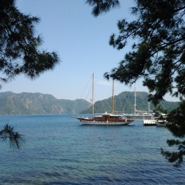 photo 1477511