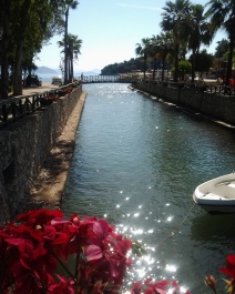 photo 1477536