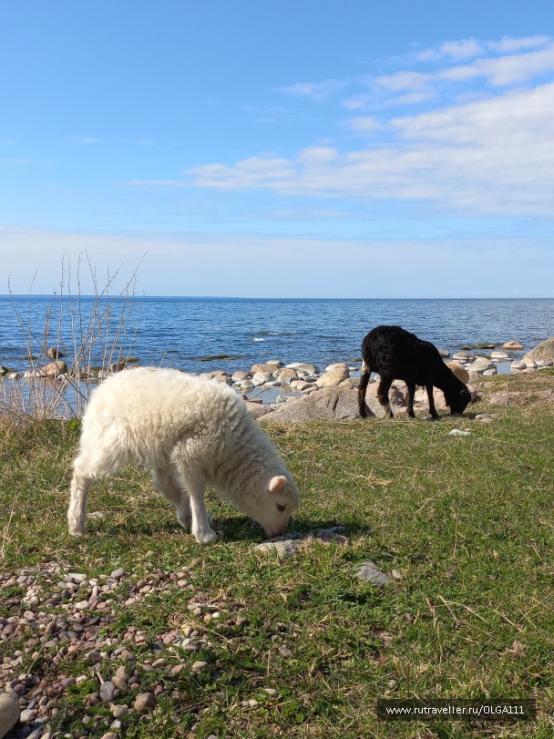 photo 2151896