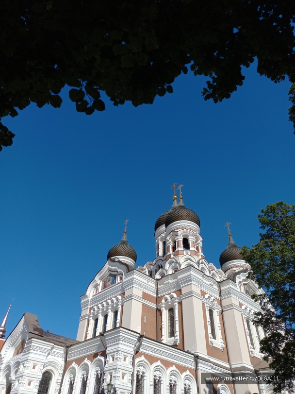 photo 2151917