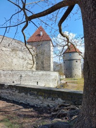 photo 2153091