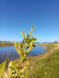 photo 2152817