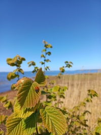 photo 2152818
