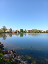photo 2152824