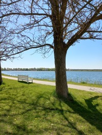 photo 2152827