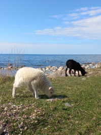 photo 2153219