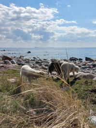 photo 2153225