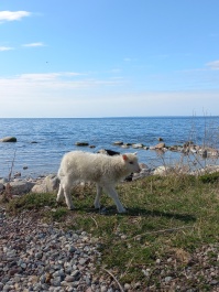 photo 2153226