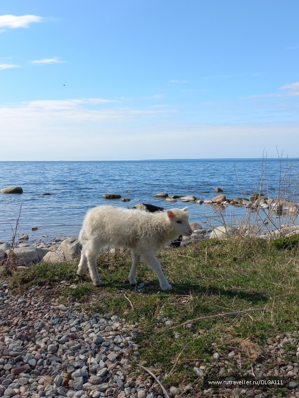 photo 2153226