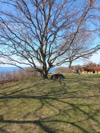photo 2153228