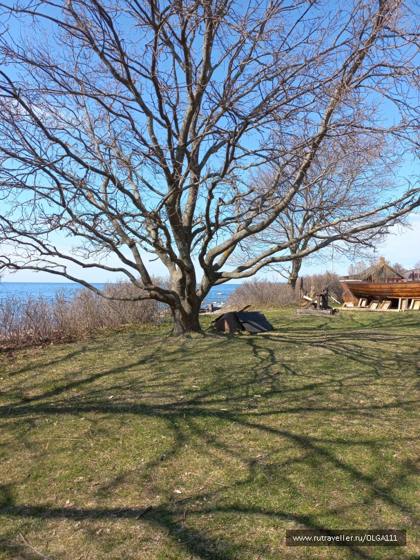 photo 2153228