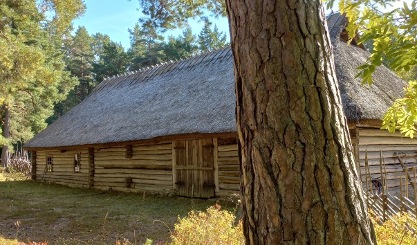 20220910_150936.jpg