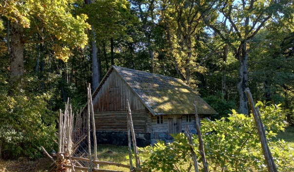 20220910_154350.jpg