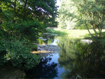 photo 1520653