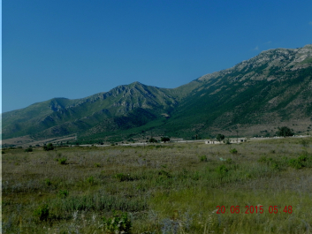 photo 1594460