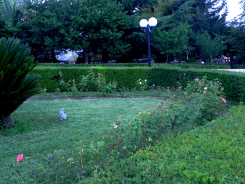photo 1644226