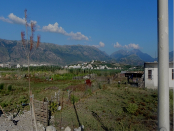 photo 1649681