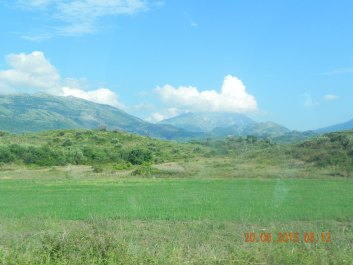photo 1777965