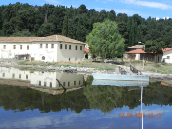 photo 1782225