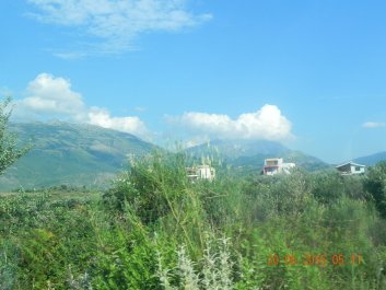 photo 1835388