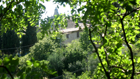 photo 1347386