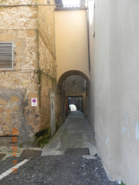 photo 1588685