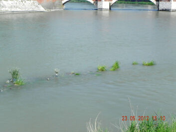 photo 1671686