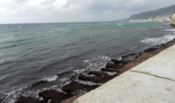 DSCN9528-1