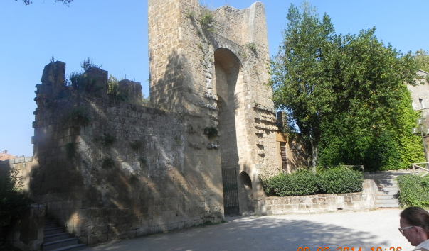 DSCN1483