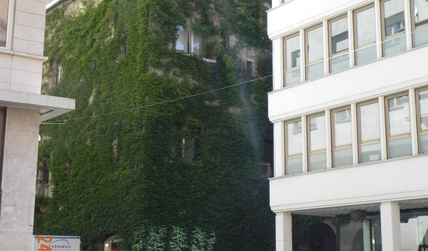 DSCN2540