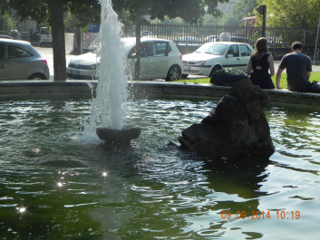 photo 1770025