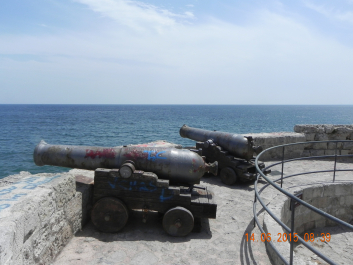 photo 1773205