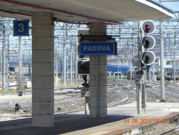 photo 1774898