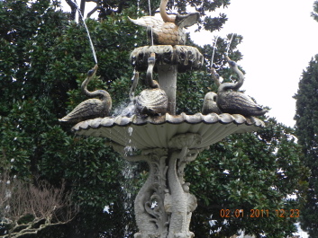 photo 1333016