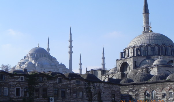 DSCN0791