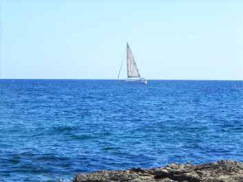 photo 1427817