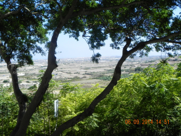 photo 1536510