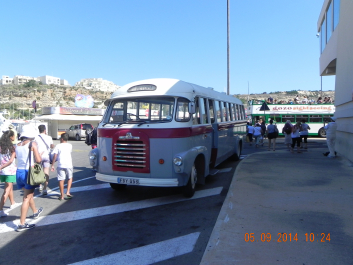 photo 1561758