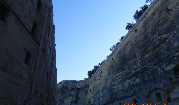 DSCN0908