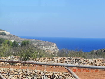 photo 1647010