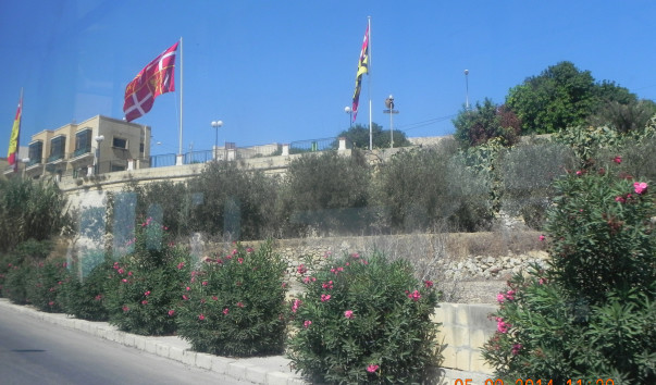 DSCN0992